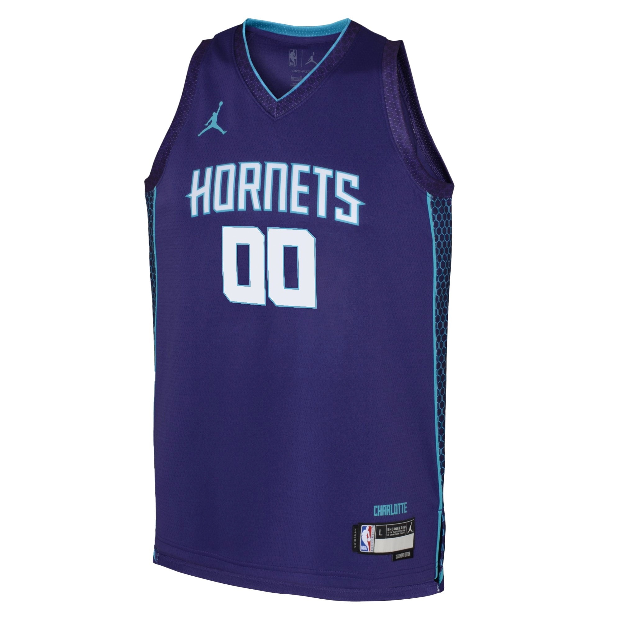 Charlotte Hornets Jordan Statement Edition Swingman Custom Jersey Unisex Multicolor