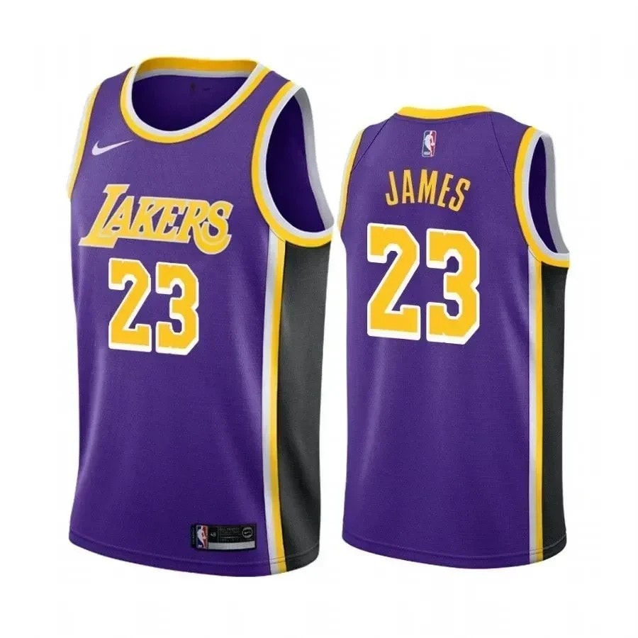 Men's Los Angeles Lakers LeBron James 23 Multi Color State Jersey